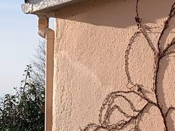 Acá está el culpable, afirmó la damnificada