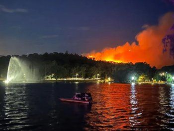 Incendio forestal puso en alerta a Tandil: cómo está la situación