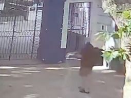 todo por la final: tiraron sal en la entrada del estadio de gimnasia previo al duelo con estudiantes todo por la final: tiraron sal en la entrada del estadio de gimnasia previo al duelo con estudiantes