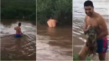 Así rescataban a un perrito de un naufragio en La Madrid Así rescataban a un perrito de un naufragio en La Madrid