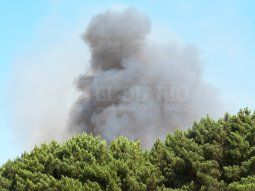 Miramar: combaten un incendio en el vivero municipal