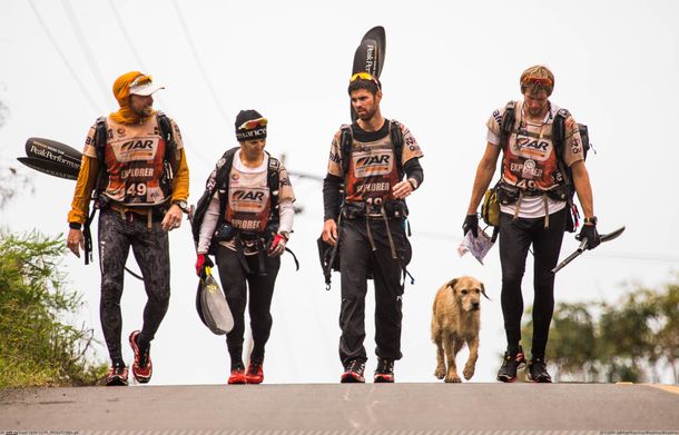 Un perro acompañó por 690 kilómetros a los atletas de un equipo sueco y se lo llevaron