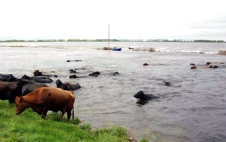 El campo pide que se declare la emergencia agropecuaria