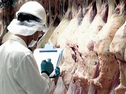 El Gobierno limitó la exportación por dos años de los siete cortes de carne preferidos en el país