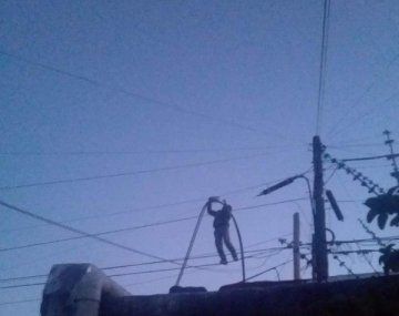 Bernal: ladrón equilibrista caminó por los cables para robar parte del tendido