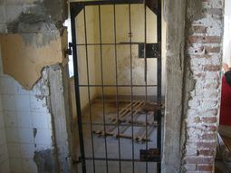 un juez alerto sobre el horror en el psiquiatrico un juez alerto sobre el horror en el psiquiatrico