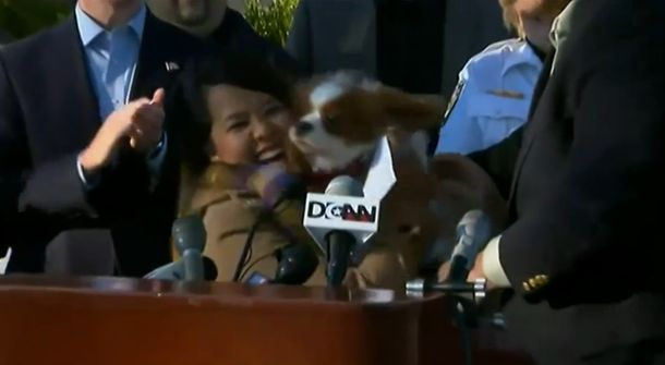 La enfermera estadounidense que se curó de ébola se reencontró con su perro