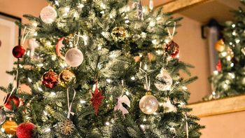 cuanto cuesta armar el arbolito de navidad: un 12% mas que el ano pasado cuanto cuesta armar el arbolito de navidad: un 12% mas que el ano pasado