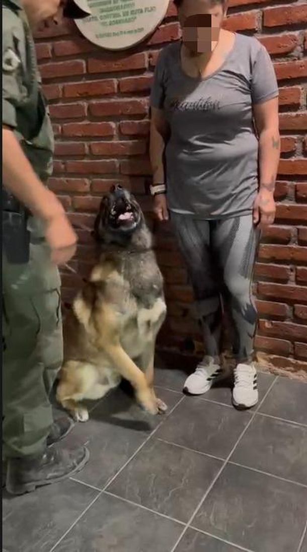 La mujer fue detenida cuando transportaba cocaína oculta dentro de su cuerpo.