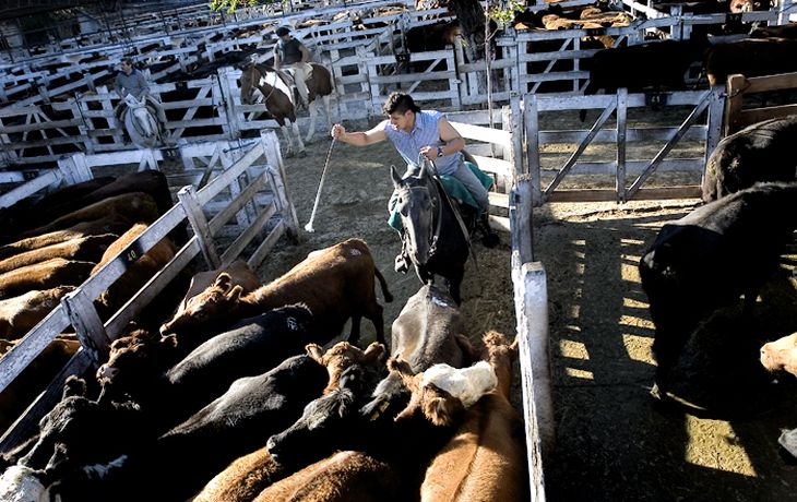 Un gesto conciliador: el Gobierno reabre las exportaciones de carne