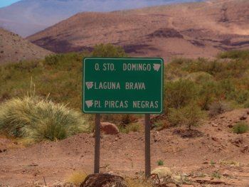 Científicos del CONICET encontraron los restos de uno de los dinosaurios más antiguos del mundo
