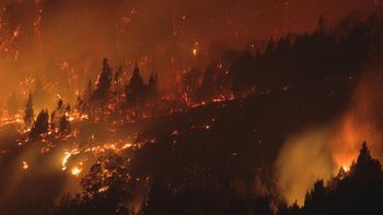 incendios en chubut: aplicaran multas a quienes hagan fogatas en zonas prohibidas incendios en chubut: aplicaran multas a quienes hagan fogatas en zonas prohibidas