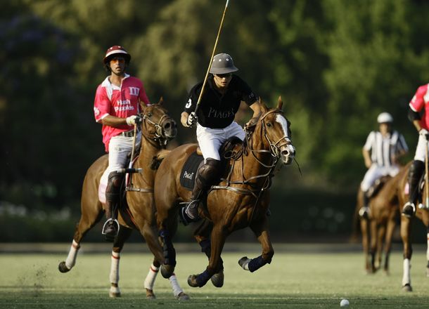 Un hombre robaba caballos de polo para hacer chorizos y salamines