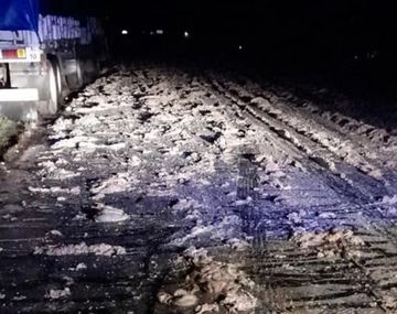 Foto gentileza: 0223