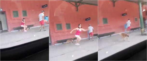Así pegó un salto la mujer que abandonó a su perro