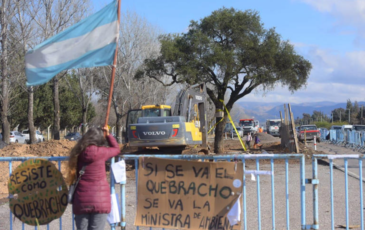 La remoción de un árbol centenario causó un estallido social en una localidad de Córdoba: ¿qué pasó?