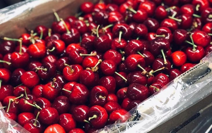 Extraberries realizo primera exportación de cerezas a China del 2020