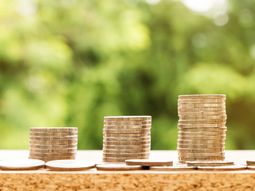 Las inversiones podrían verse afectadas por el valor del dólar, la tasa de interés y el escenario preelectoral. Las inversiones podrían verse afectadas por el valor del dólar, la tasa de interés y el escenario preelectoral.