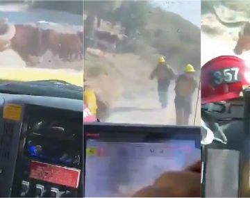Video viral: un grupo de bomberos fue atacado por un toro
