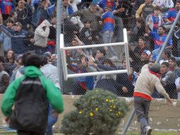 Tigre--violencia