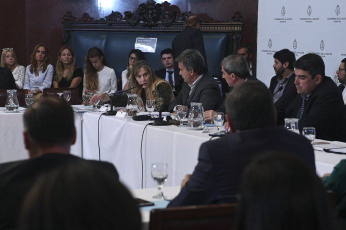 Pagar al FMI con fondos fugados: con cambios, podría recibir dictamen del Senado