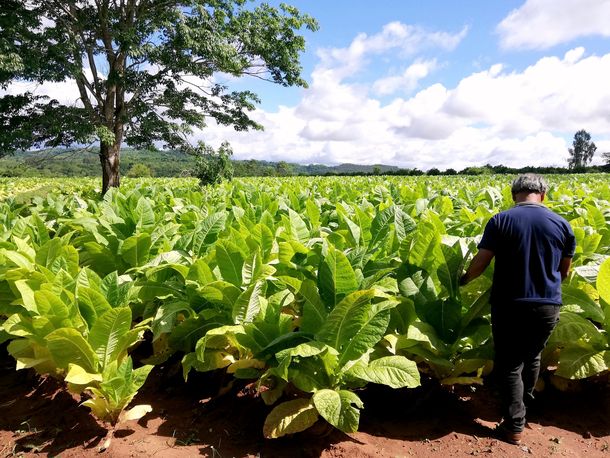 El intendente de Artigas