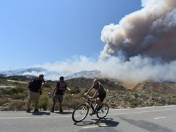 Cerca de donde se disputa la Copa América hay varios muertos por ola de calor