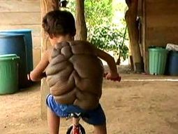 Niñotortuga 2 Niñotortuga 2