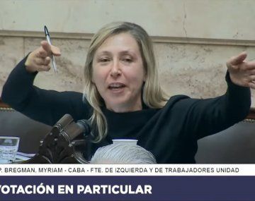 Ley Bases: el tenso cruce entre Bregman y Martín Menem en plena sesión