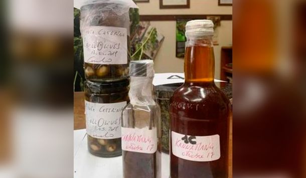 Chef detenido por usar cannabis para buscar nuevos sabores