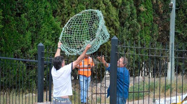 Pánico en Bahía Blanca por un puma que anda suelto en las calles