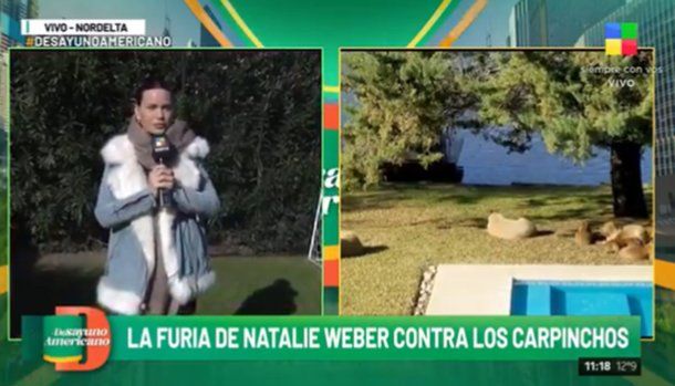 El insólito enojo de Natalie Weber por la presencia de carpinchos en su casa: Es una propiedad privada