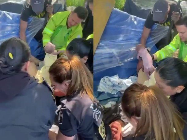 Conmoción en Mar del Plata: policías asistieron a una mujer a dar a luz en plena calle