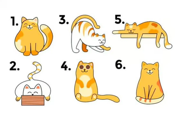 Test viral: lo primero que veas en la imagen revelará si sos un buen líder