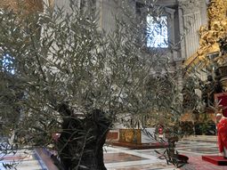 Domingo de Ramos en una Basílica de San Pedro semivacía por el coronavirus