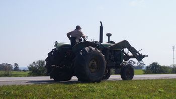 El sector agropecuario representa el 8,5% del total de trabajos directos en el Uruguay. El sector agropecuario representa el 8,5% del total de trabajos directos en el Uruguay.