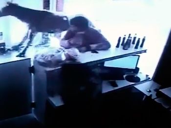 El cliente menos pensado: un caballo rompió el vidrio y entró a una carnicería