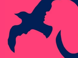 Lo primero que veas revelará si sos una persona indecisa