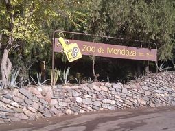 tres ciervos murieron en el zoo de mendoza y ya son 14 los animales fallecidos tres ciervos murieron en el zoo de mendoza y ya son 14 los animales fallecidos