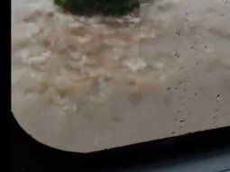 ruta 9: un micro quedo atrapado en medio de la inundacion ruta 9: un micro quedo atrapado en medio de la inundacion