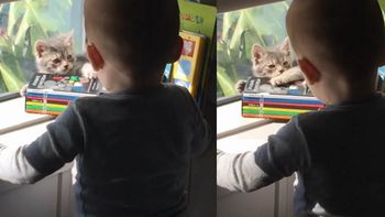 el tierno video de lorenzo tinelli y su mascota es furor en la web el tierno video de lorenzo tinelli y su mascota es furor en la web