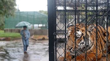 Foto: archivo Foto: archivo