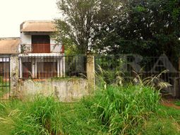 Encontraron a rescatista muerta en su casa e investigan si fue devorada por sus 40 perros