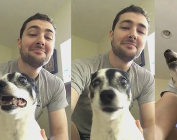 El estornudo de esta perrita es tentador