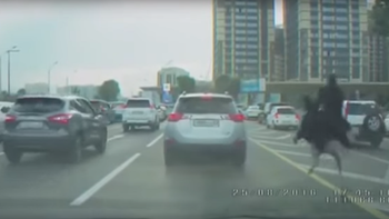 video: se canso del trafico y se metio en una autopista a bordo de un avestruz video: se canso del trafico y se metio en una autopista a bordo de un avestruz