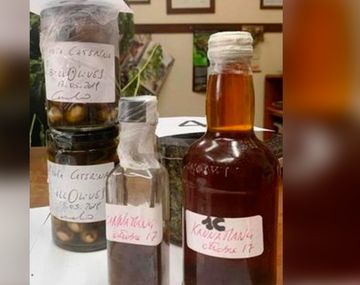 Detuvieron a un reconocido cocinero con cannabis: dijo que buscaba nuevos sabores