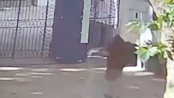 todo por la final: tiraron sal en la entrada del estadio de gimnasia previo al duelo con estudiantes todo por la final: tiraron sal en la entrada del estadio de gimnasia previo al duelo con estudiantes