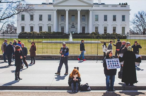 ¿Dónde está el perro?: un fotógrafo te desafía a que encuentres su collie