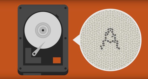 Toda la literatura del mundo en disco duro tan pequeño como un sello