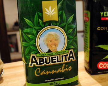Uruguay venderá yerba mate con cannabis